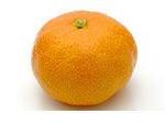 housemikan1.jpg