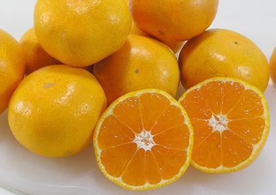 japantorg_mandarin