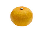 unshu mandarin.jpg