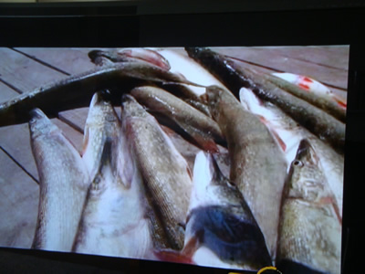 fishing_3.jpg
